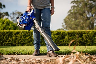 Put The Spring Back Into The Lawn Victa